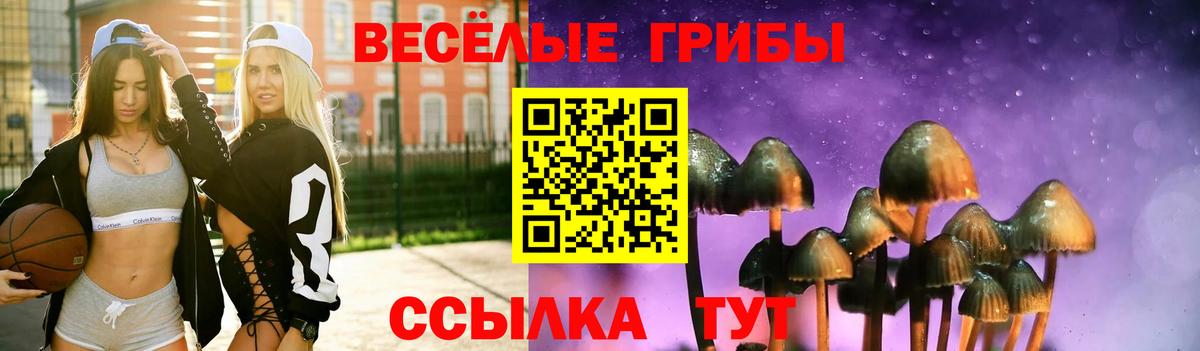 Медногорск  Галлюциногенные грибы Psilocybe  Галлюциногенные грибы Cubensis  Вход с VPN 